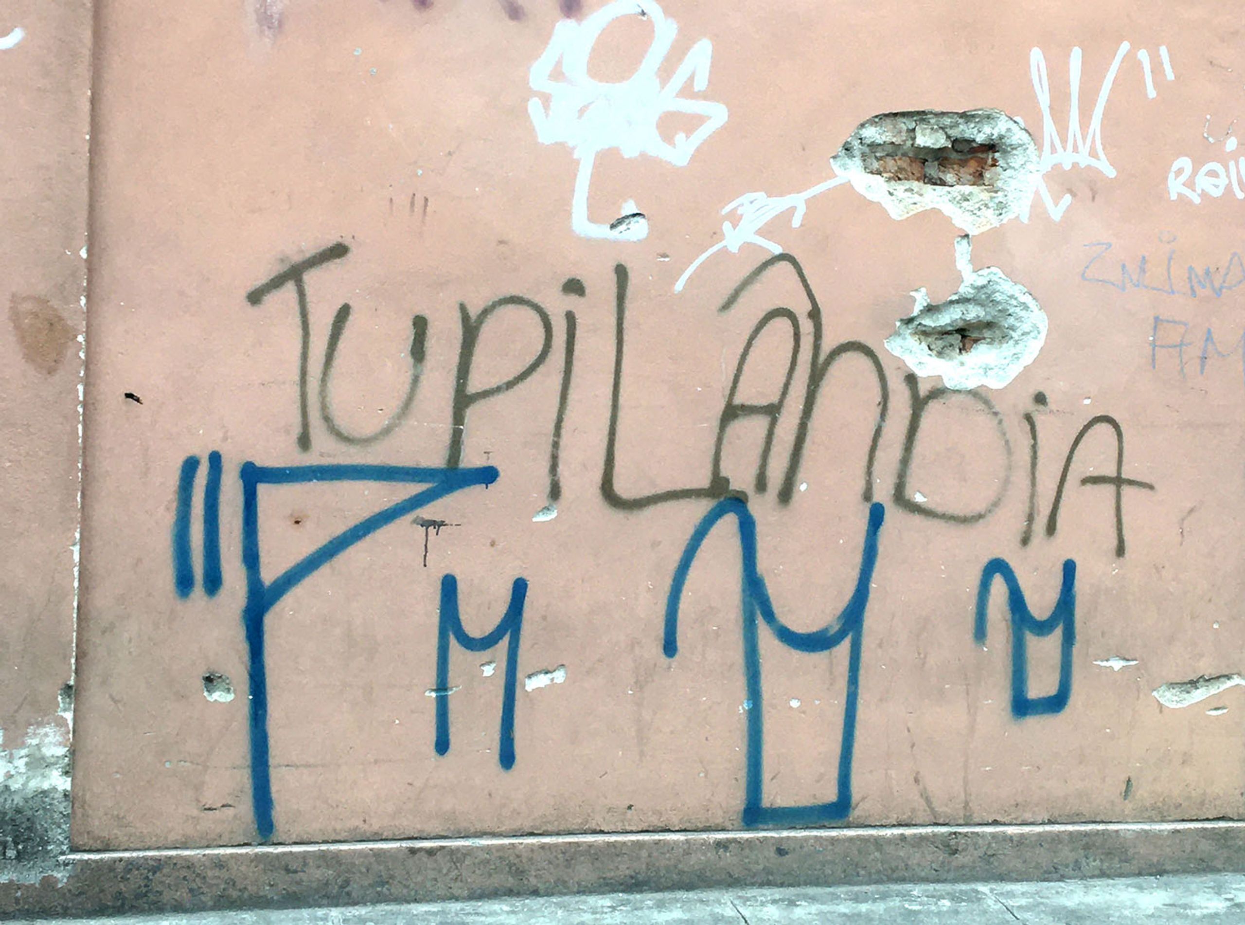 Tupilândia, Sallisa Rosa, 2021. Courtesy of the artist.