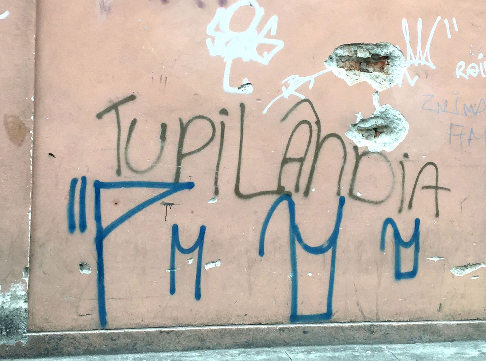 Tupilândia, Sallisa Rosa, 2021. Courtesy of the artist.