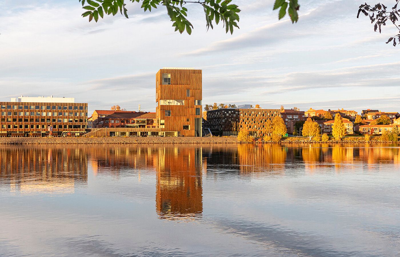 Curator of exhibitions at Bildmuseet
