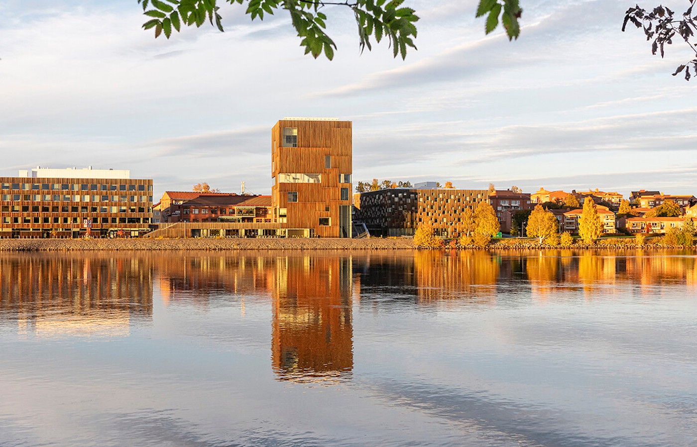 Curator of exhibitions at Bildmuseet