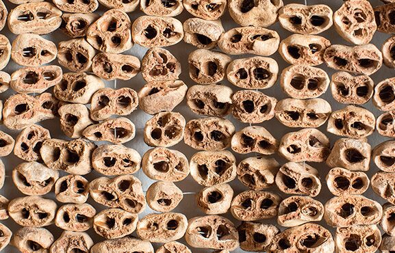 Being Here – Group Show