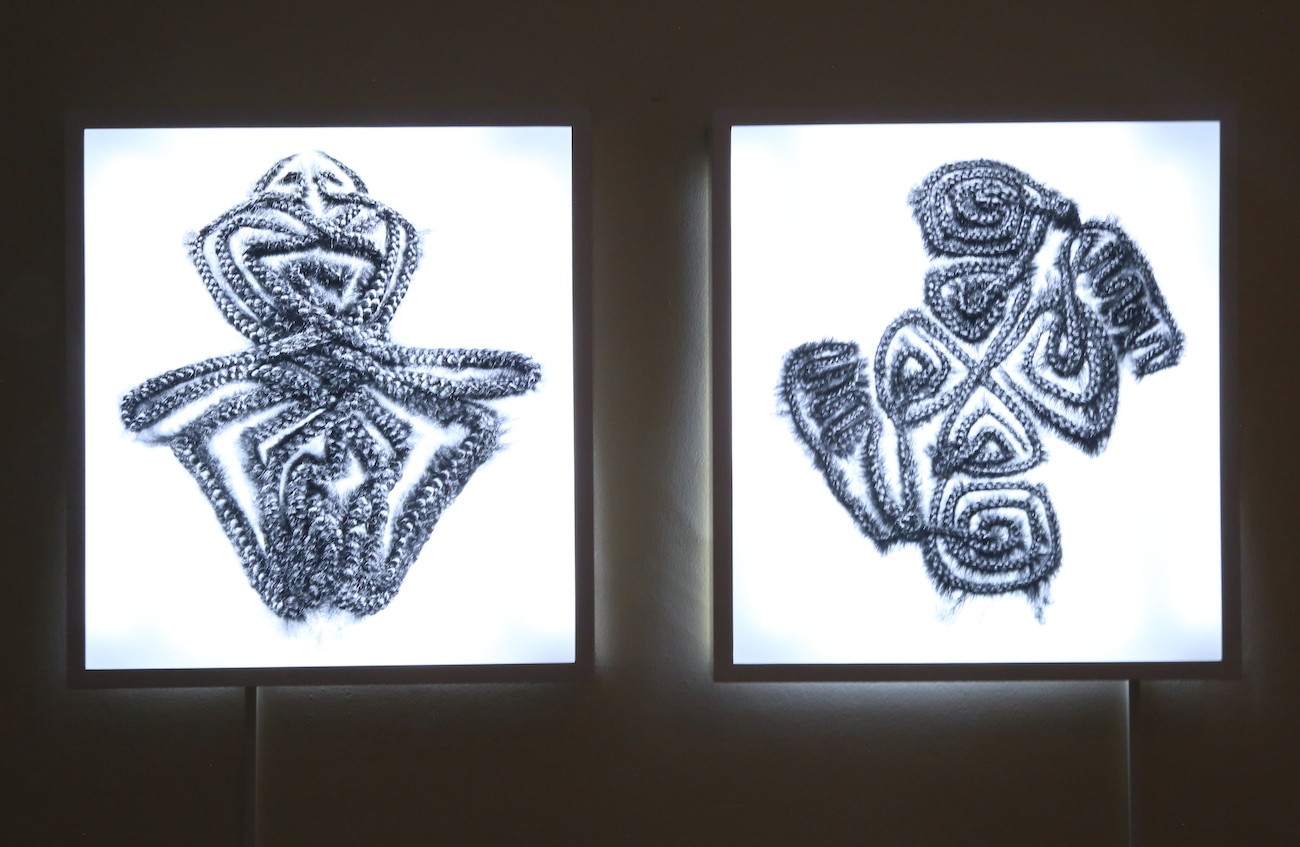 Ximena Vásquez, Anase 2016-2018.