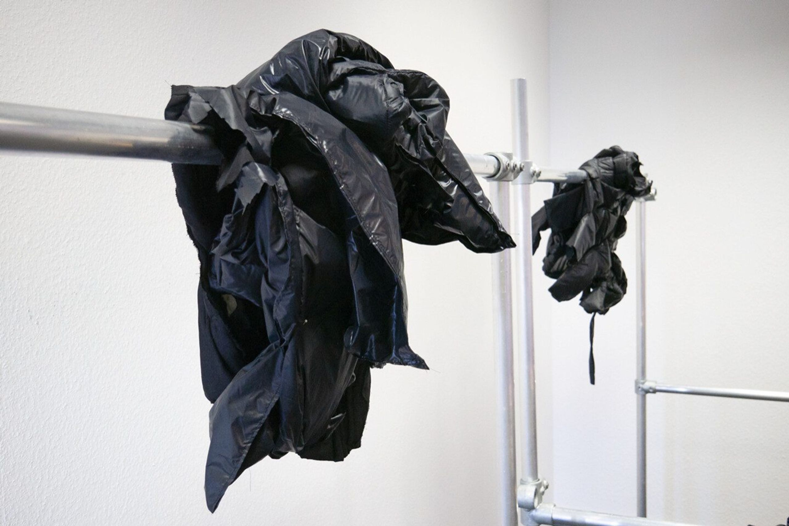 Radical Passivity: Politics of the Flesh