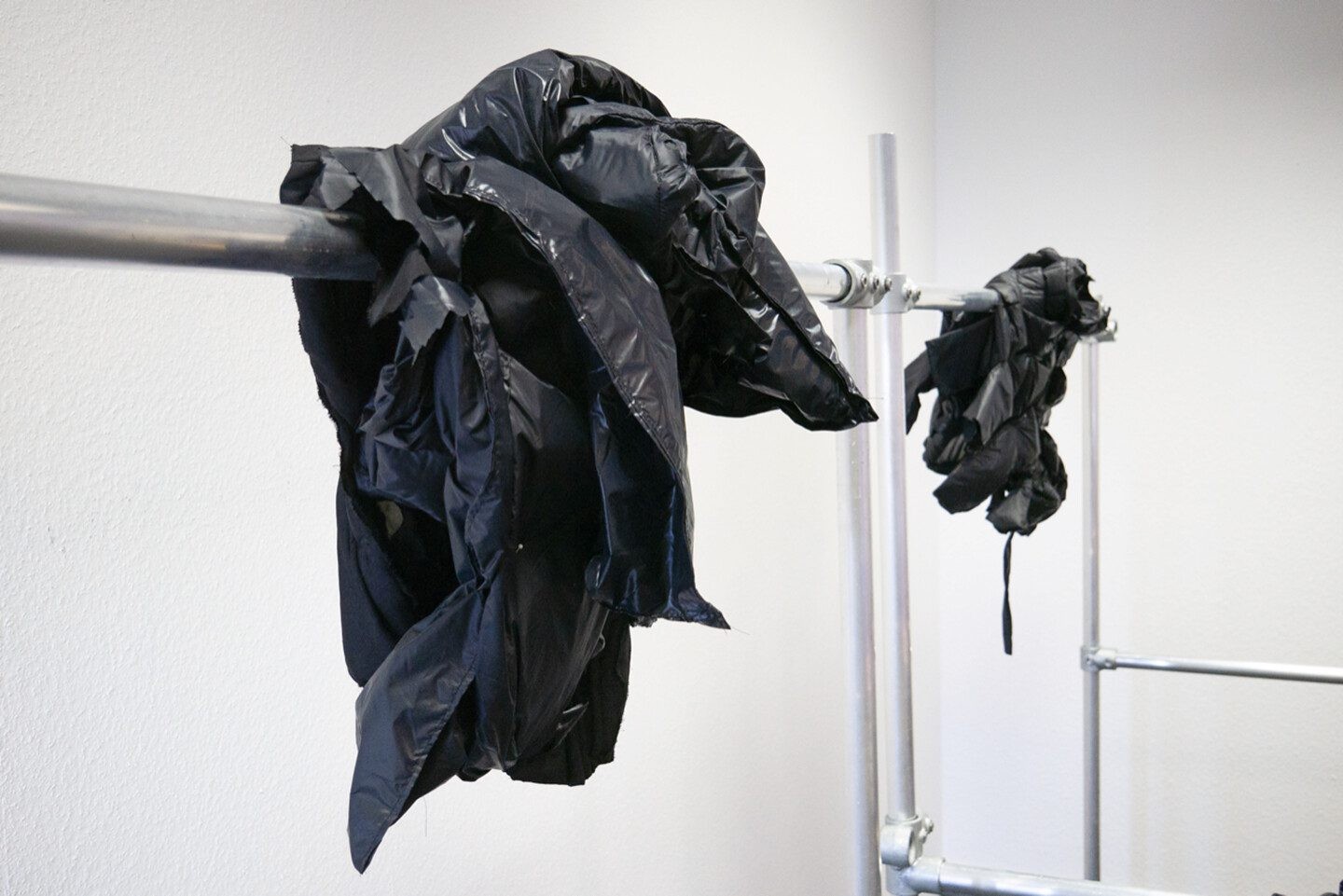 Radical Passivity: Politics of the Flesh