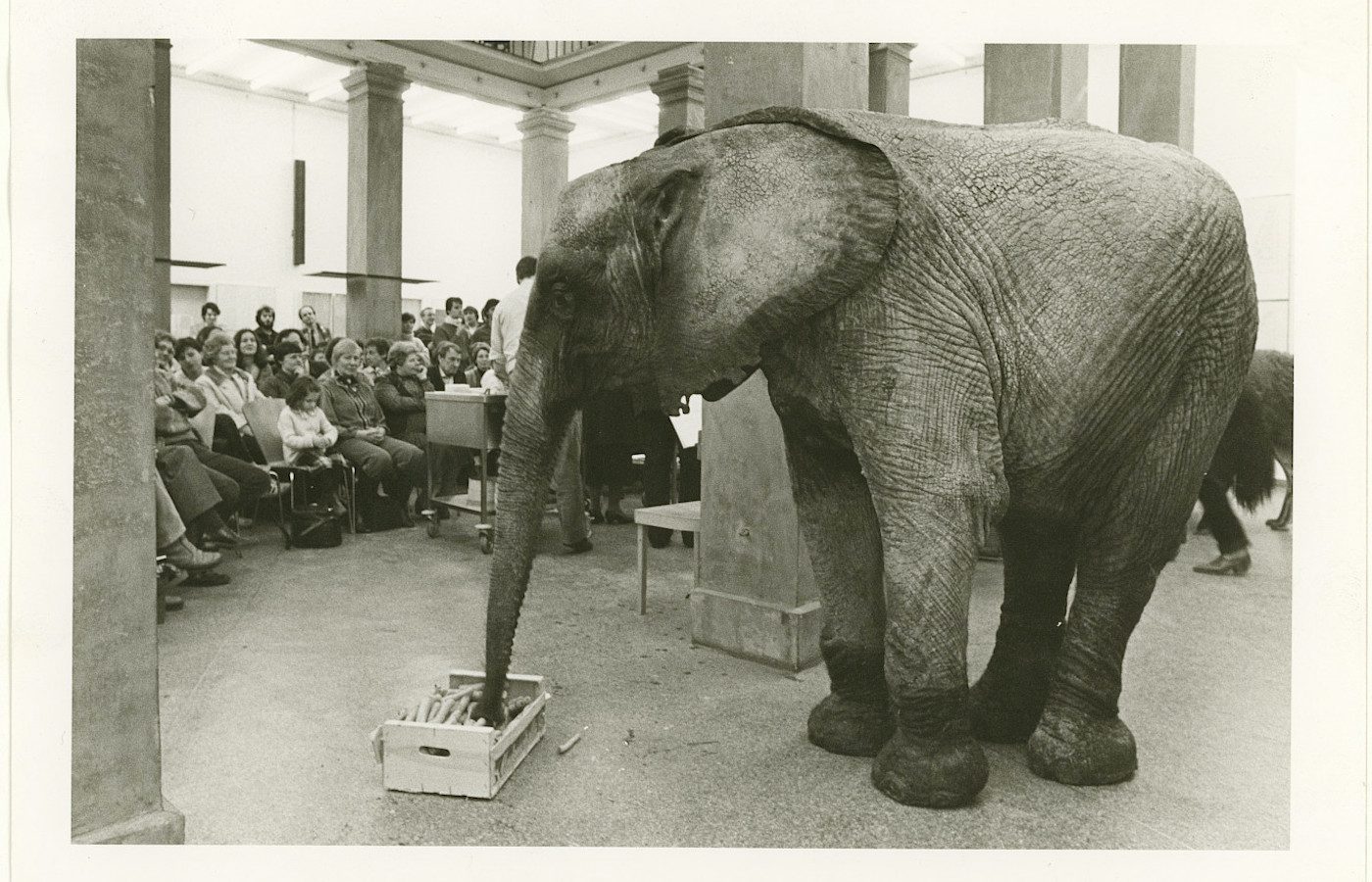 Portikus seeks Curator