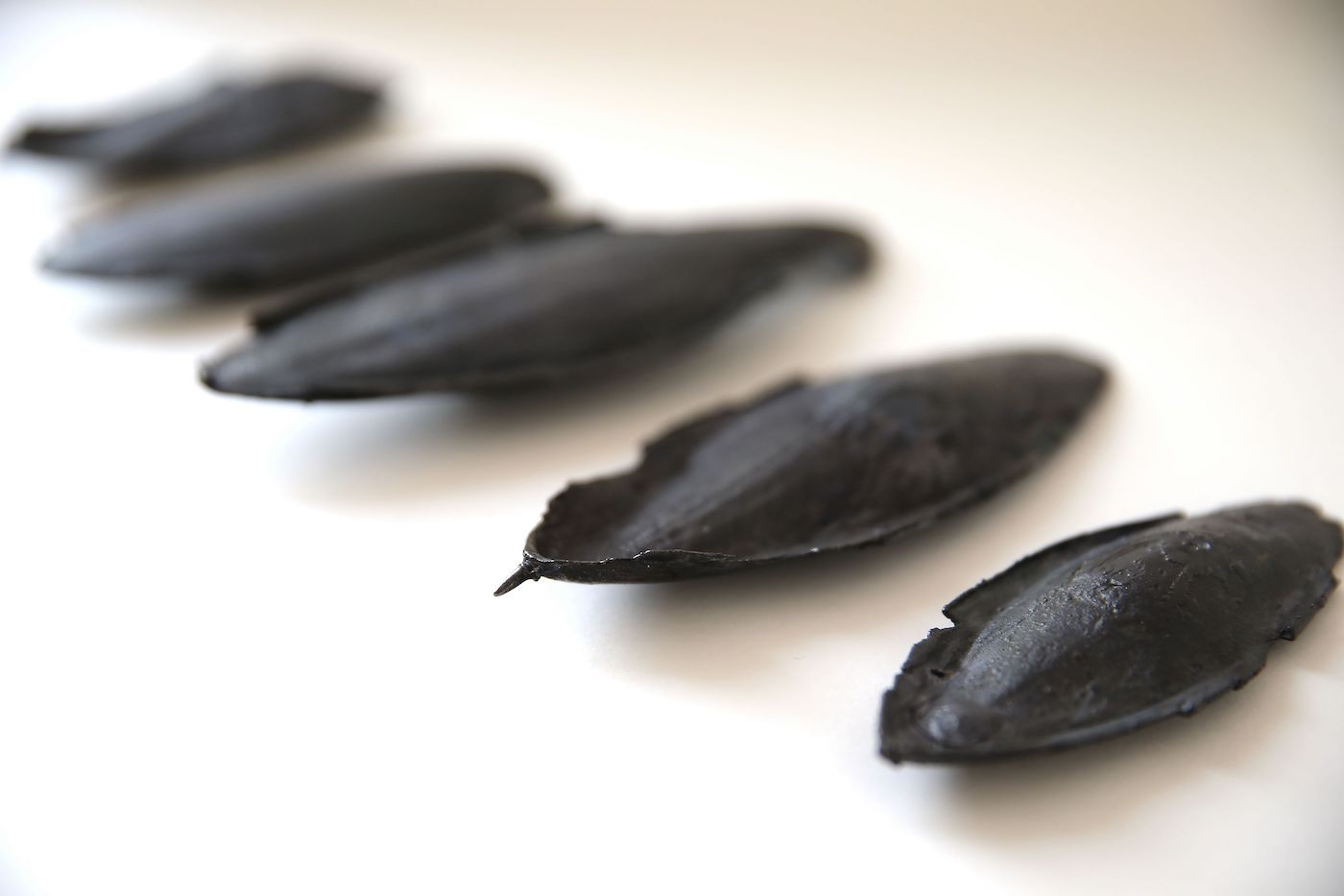 Jeewi Lee, Encounter (Future Past Tense), 2023. Galvanized cuttlefish bones. Courtesy of Studio Jeewi Lee.