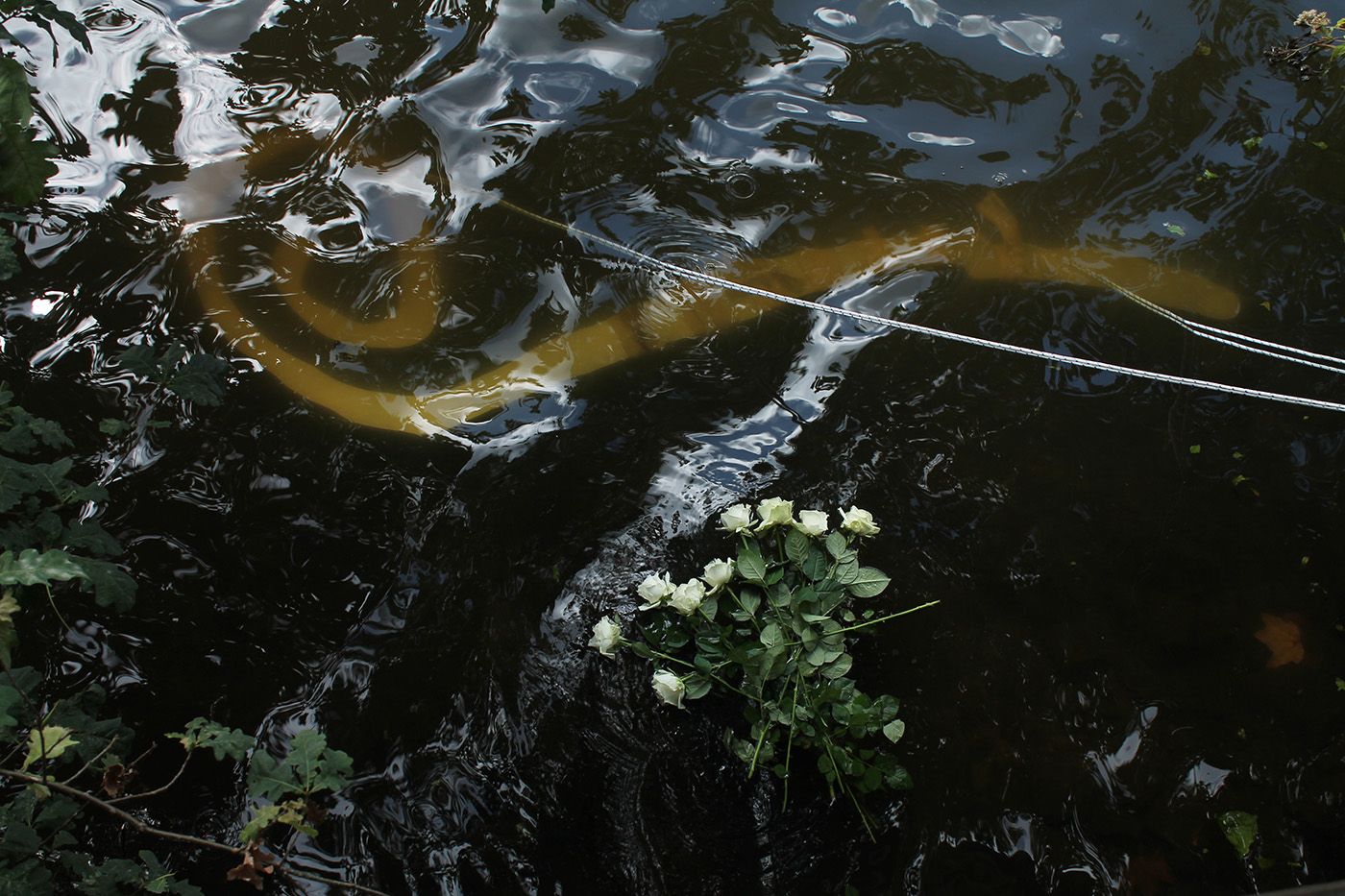 Jota Mombaça: The Sinking Ship/Properity