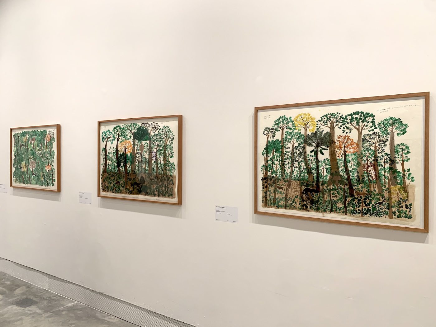 Abel Rodríguez. Installation View of 60th Venice Biennale „Foreigners Everywhere“ at Giardini. Photo: C&amp;