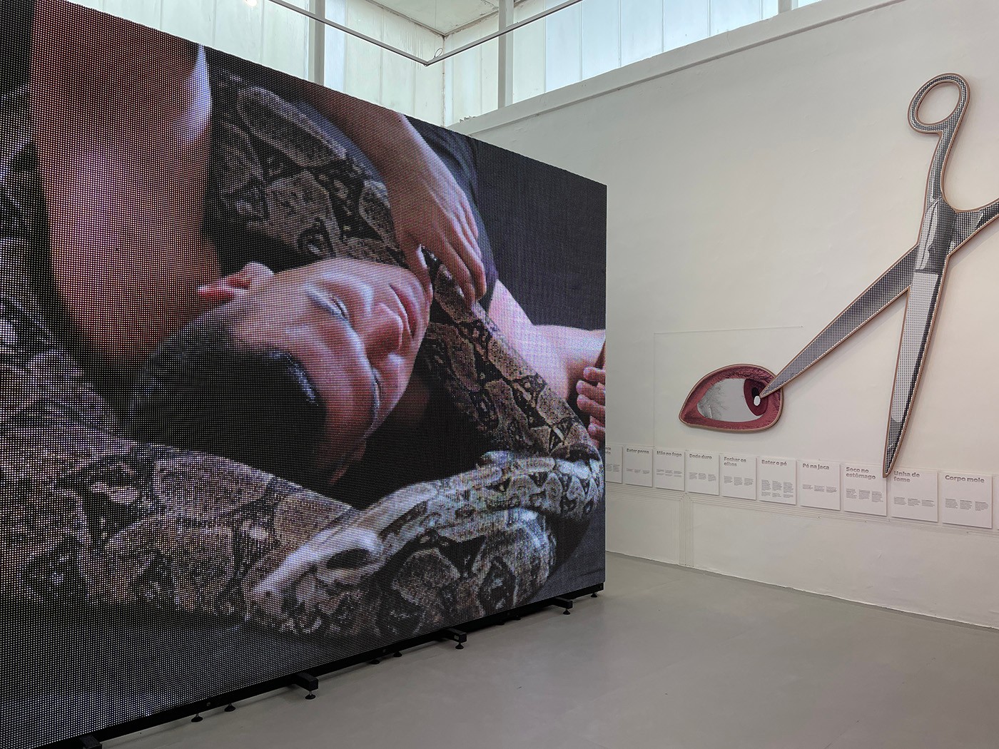 Exhibition view of With the heart coming out of the mouth at the 2022 Brazilian Pavilion.