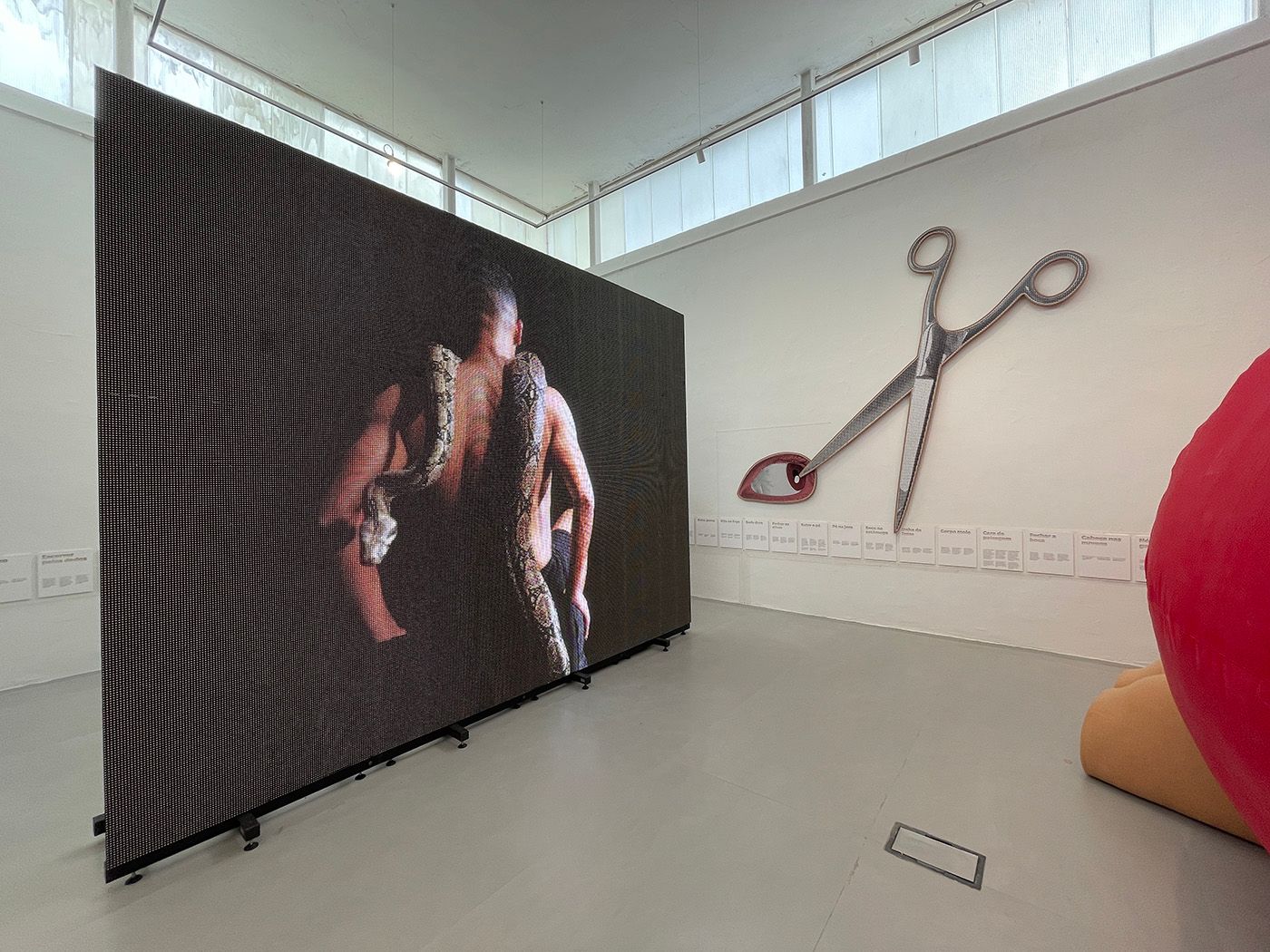 Exhibition view of With the heart coming out of the mouth at the 2022 Brazilian Pavilion.