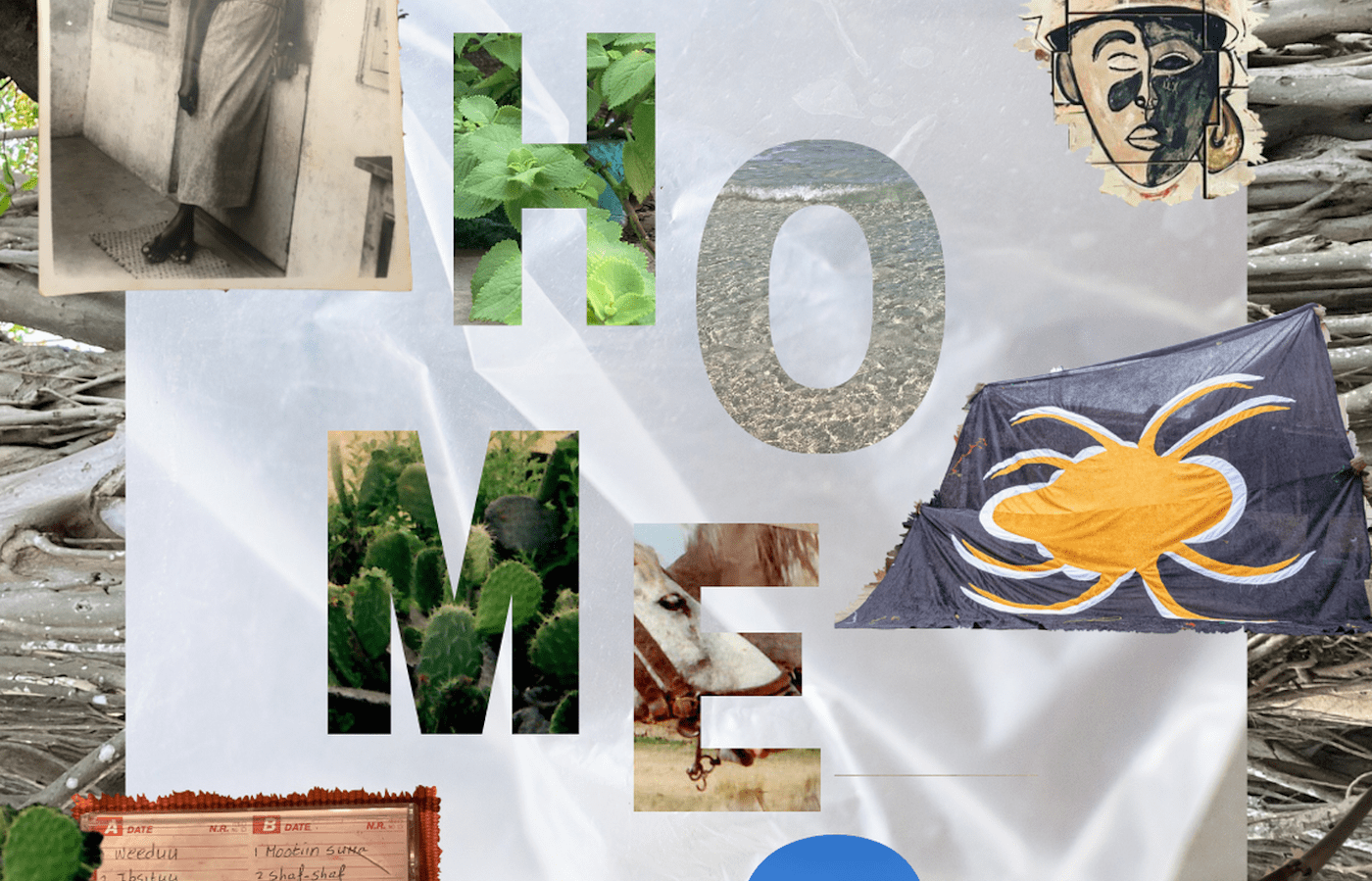 Archives in Our Homes