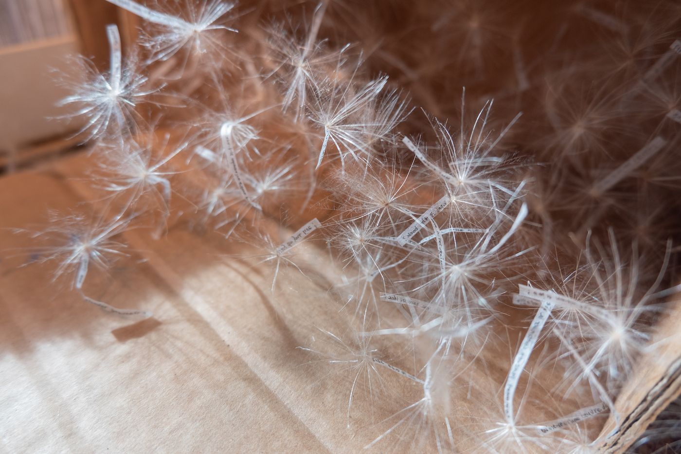 Kyoo Choix. Photo: Youness Sefyaoui