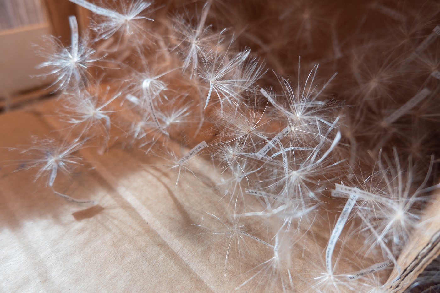 Kyoo Choix. Photo: Youness Sefyaoui