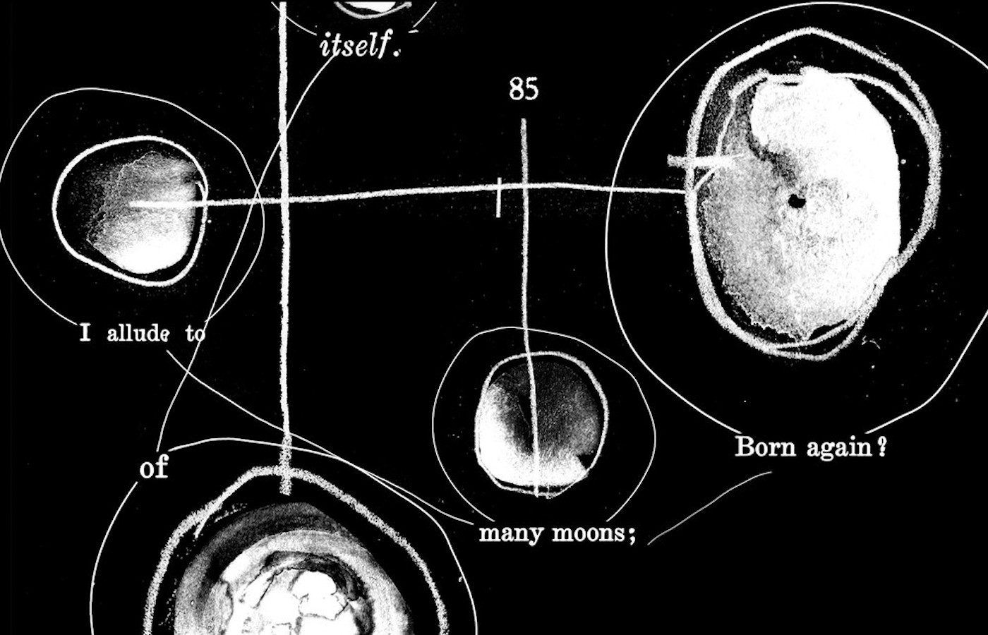 Kameelah Janan Rasheed: i want to climb inside every word and lick the salty neck of each letter