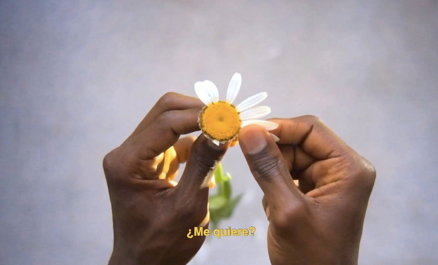 Afro-Argentina or The Importance of Alternative Histories