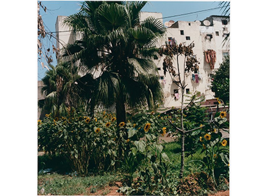 Yto Barrada: Salon Marocain