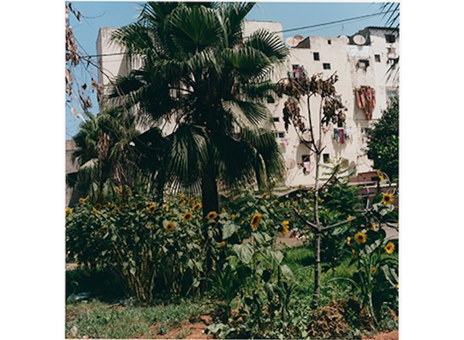 Yto Barrada: Salon Marocain