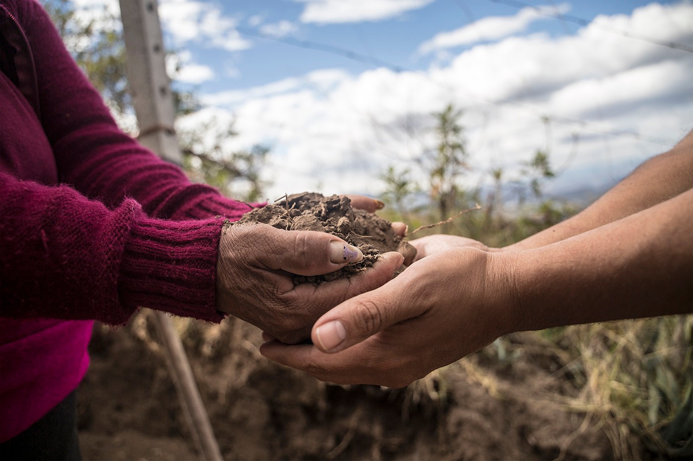 José Luis Macas: Bartering and Reciprocity with the Land