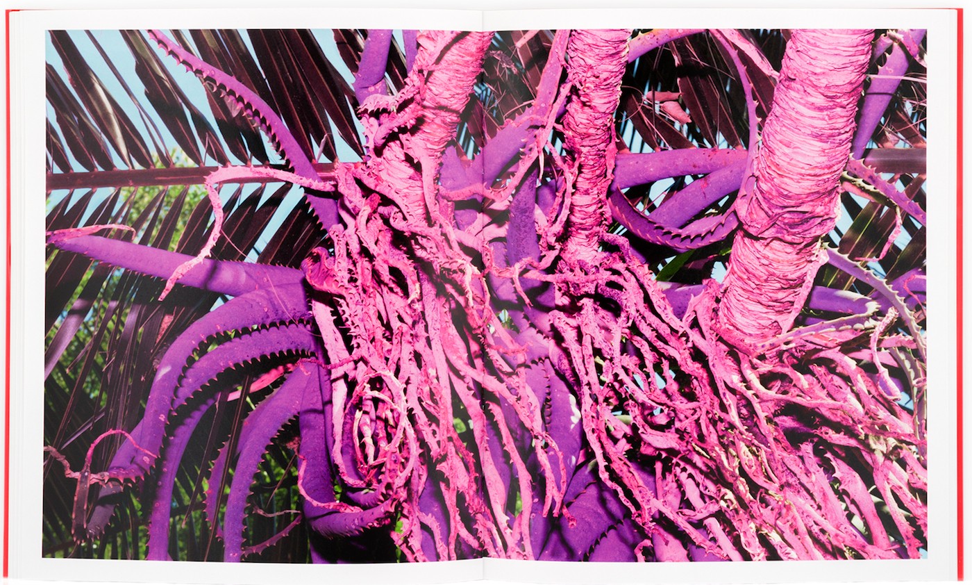 In Search of Decolonized Images of South Africa