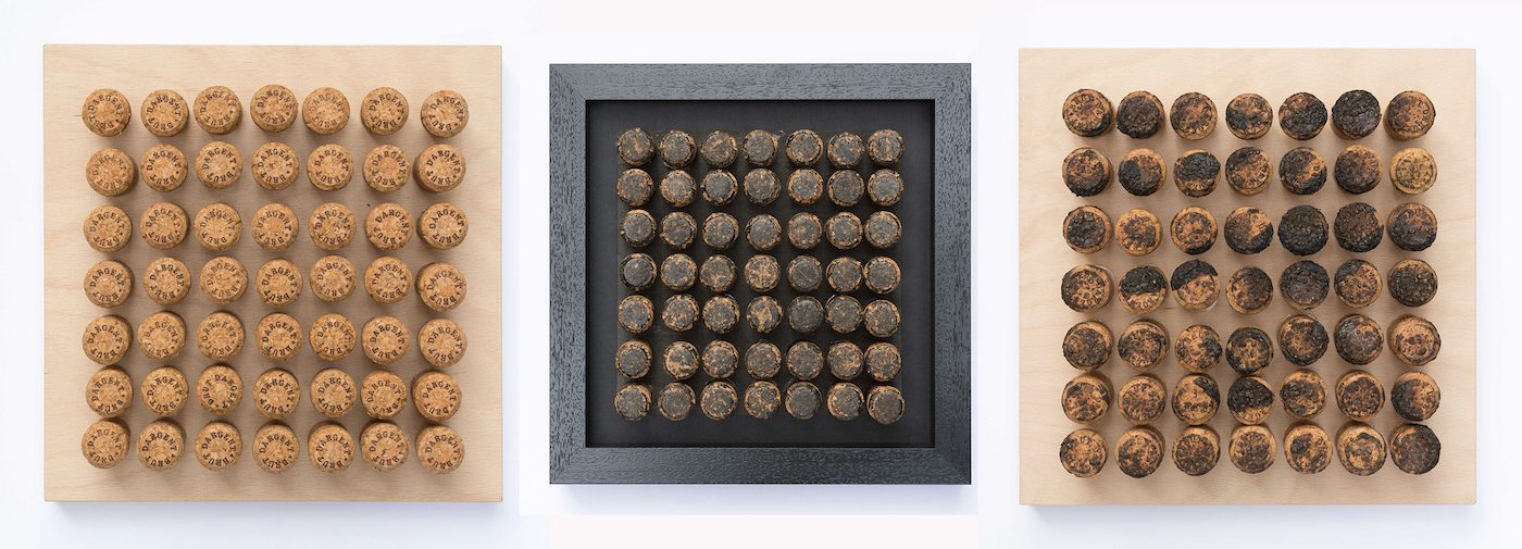 Laboratorio de Investigación 2024