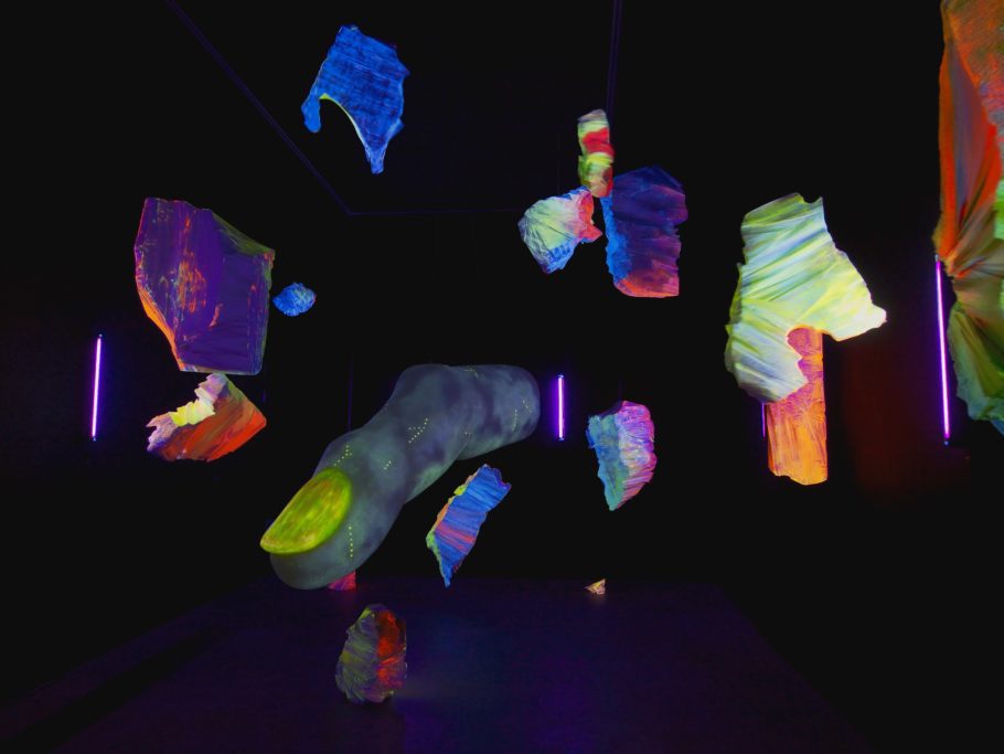 Blind Faith: Between the Visceral and the Cognitive in Contemporary Art