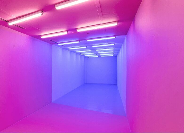 Kapwani Kiwanga: A wall is just a wall (and nothing more at all)