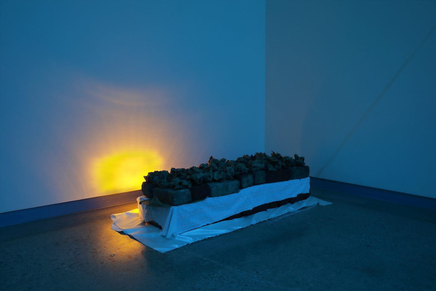 Dineo Seshee Bopape, Installation view. Courtesy of the artist and the Institute for Contemporary Art at VCU.