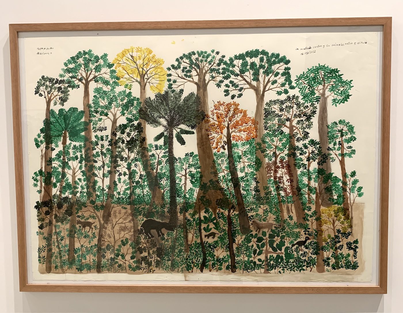 Abel Rodríguez. Installation View of 60th Venice Biennale „Foreigners Everywhere“ at Giardini. Photo: C&amp;