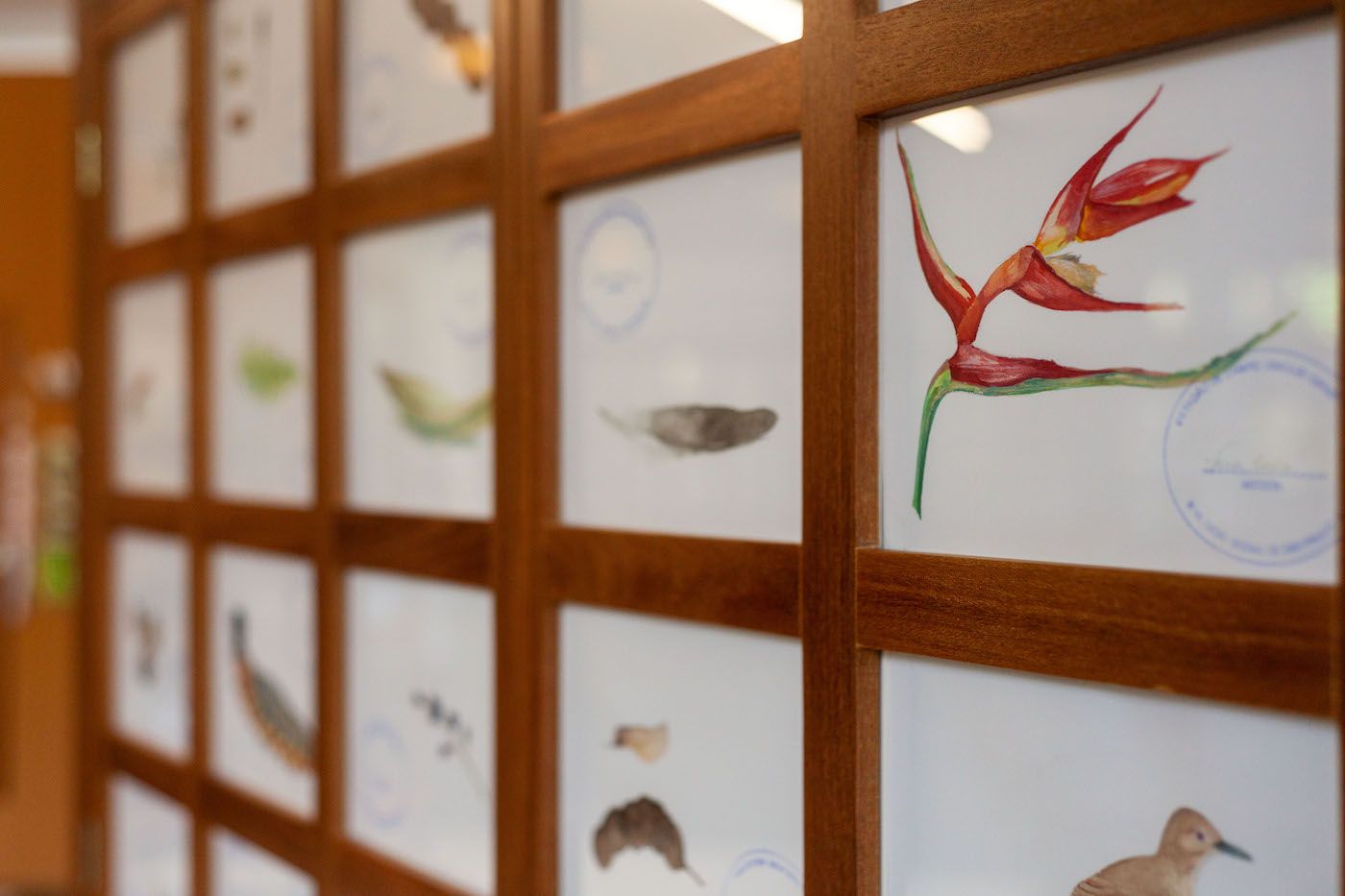 Exhibition view of Mark Dion for the 33rd Bienal de São Paulo. 31/08/2018 © Daniel Malva / Fundação Bienal de São Paulo.