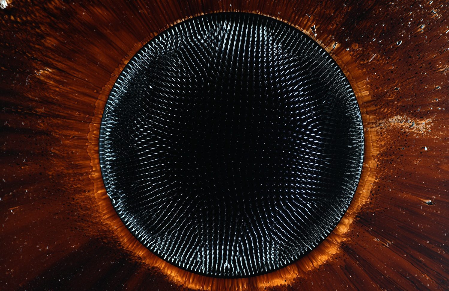 Hicham Berrada : Les Fleurs