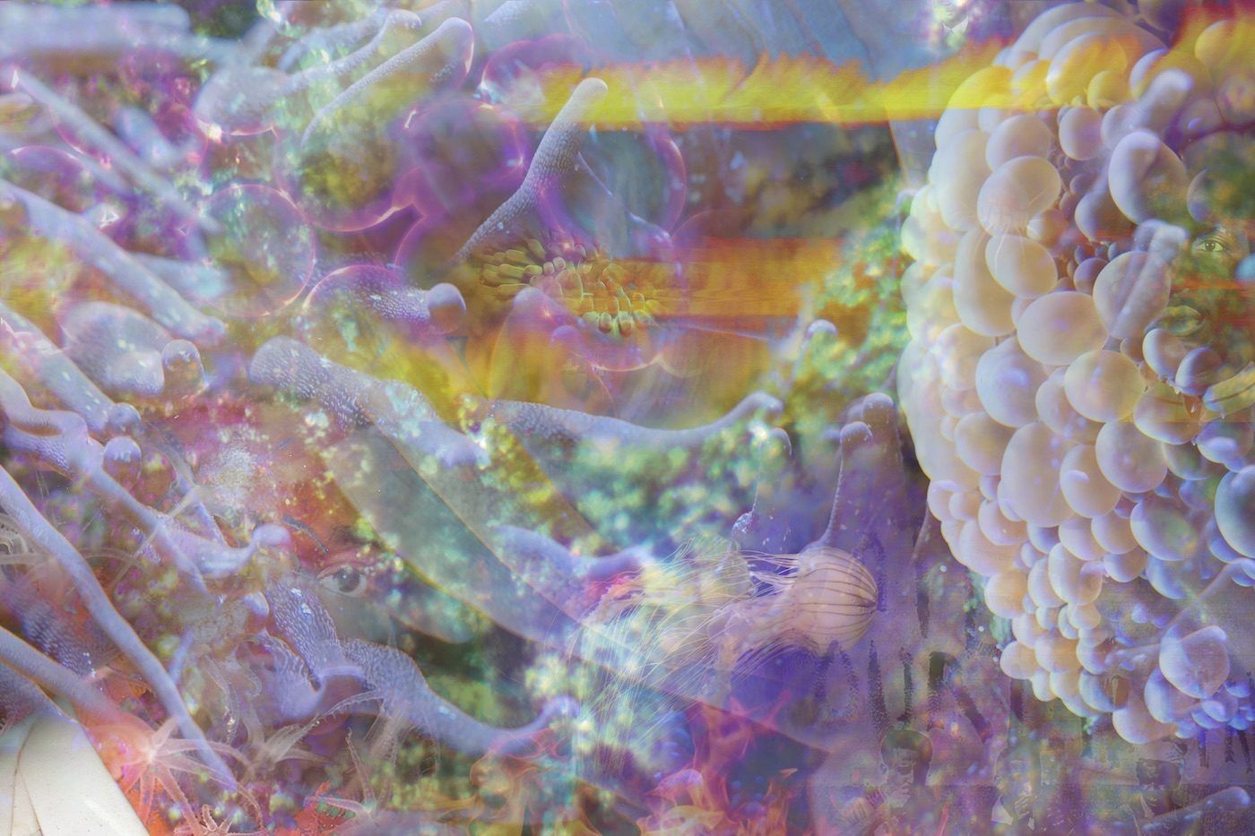 Josèfa Ntjam: Dissolving the Separation Between Human and Non-human - Contemporary And