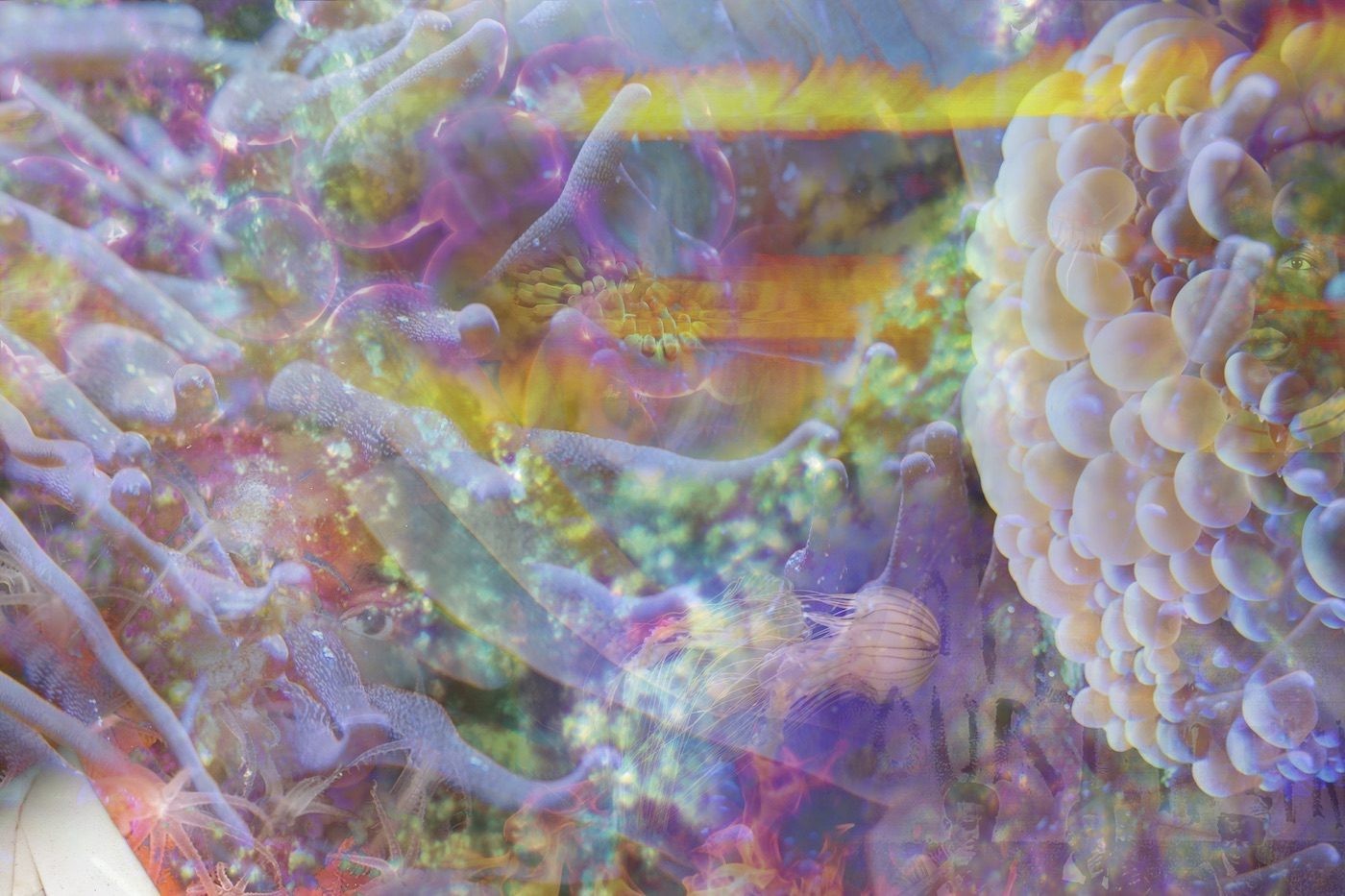 Josèfa Ntjam: Dissolving the Separation Between Human and Non-human - Contemporary And