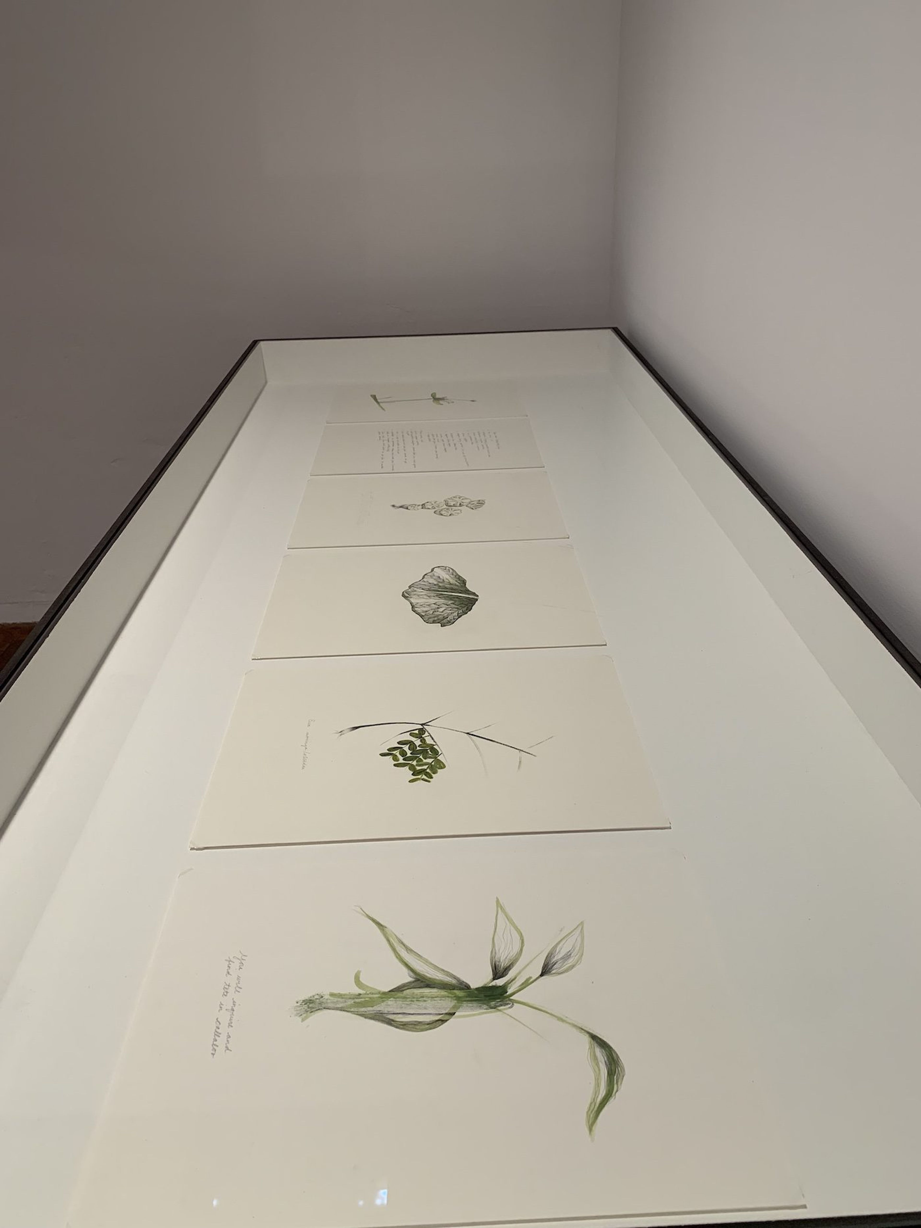 Temitayo Ogunbiyi, You will order taxonomies according to your day, 2021-2022. Installation View at 12th Berlin Biennale, Akademie der Künste, Hanseatenweg. Photo: C&amp;