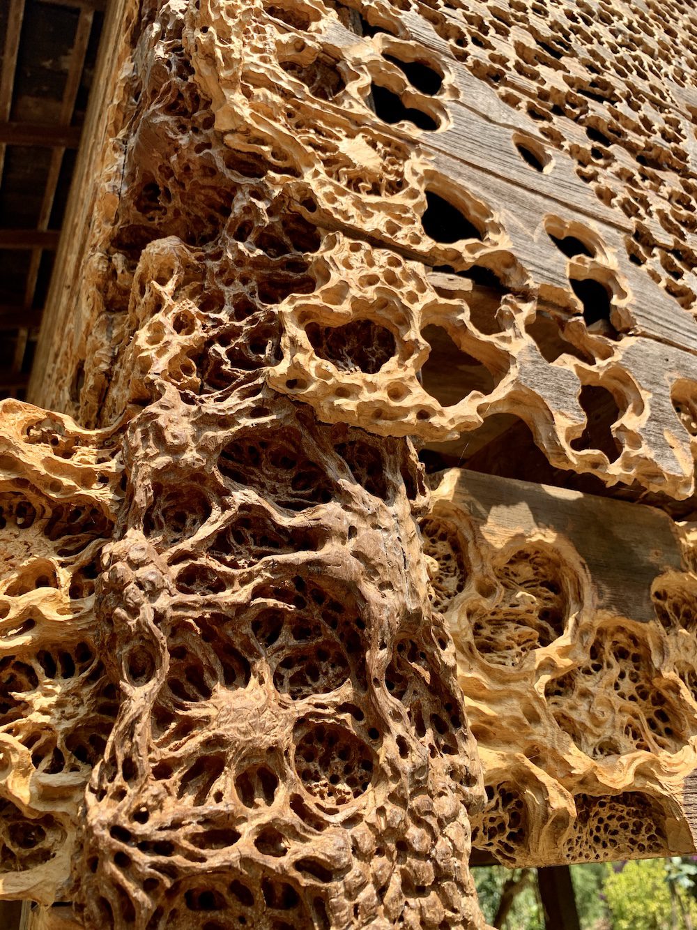 Ryusuke Kido, Inner Light – Chiang Rai Rice Barn, 2023. Photo: C&amp;