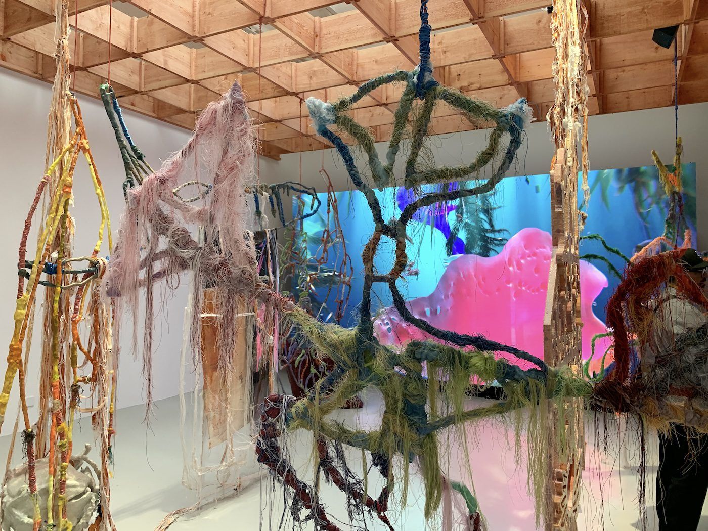 Julien Creuzet. Installation View of National Pavilion of France, 60th Venice Biennale. Photo: C&