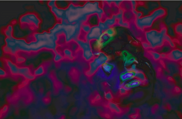 LaJuné McMillian: Embodied Metadata