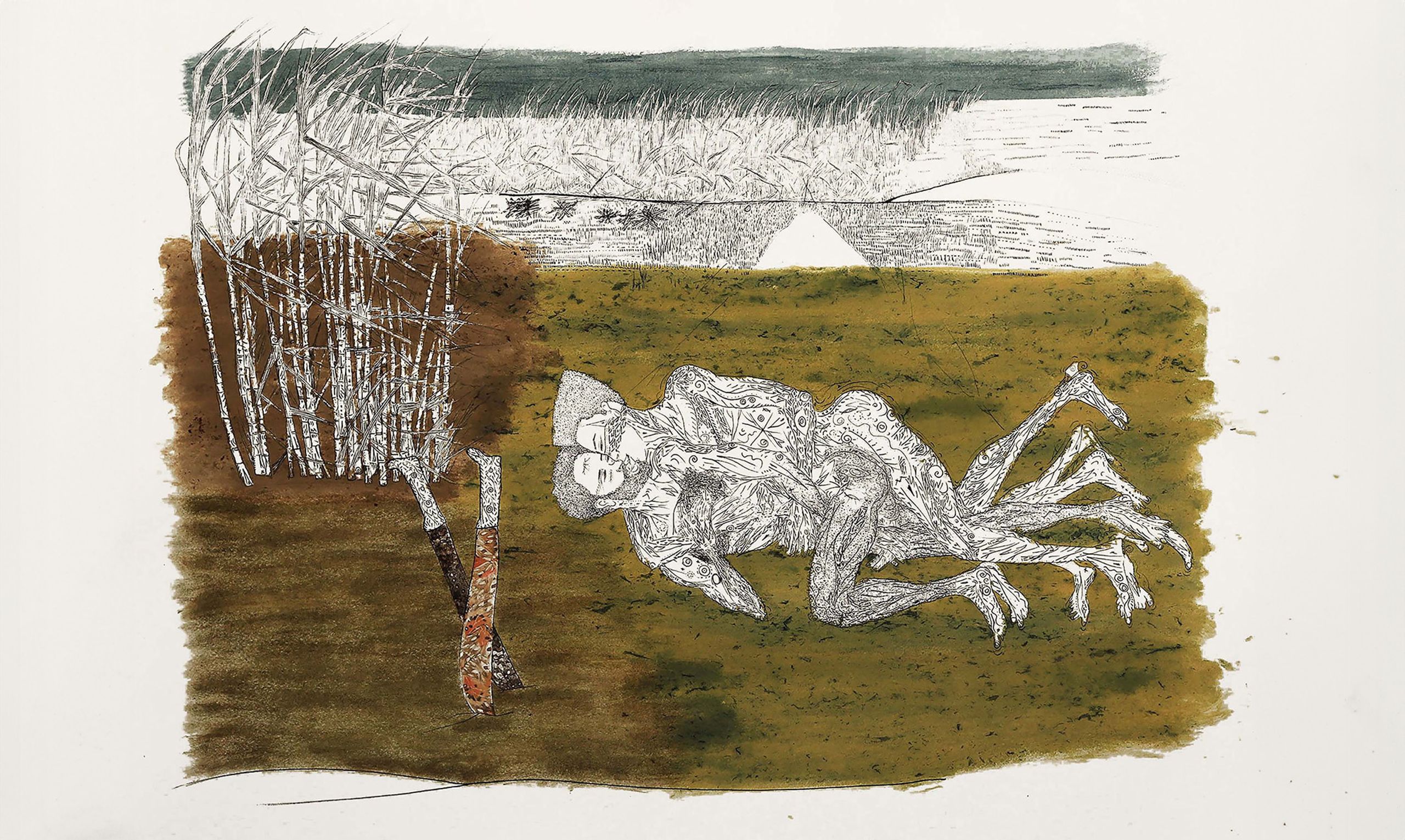 Eliazar Ortiz Roa: Connecting Antillean Society and Botany