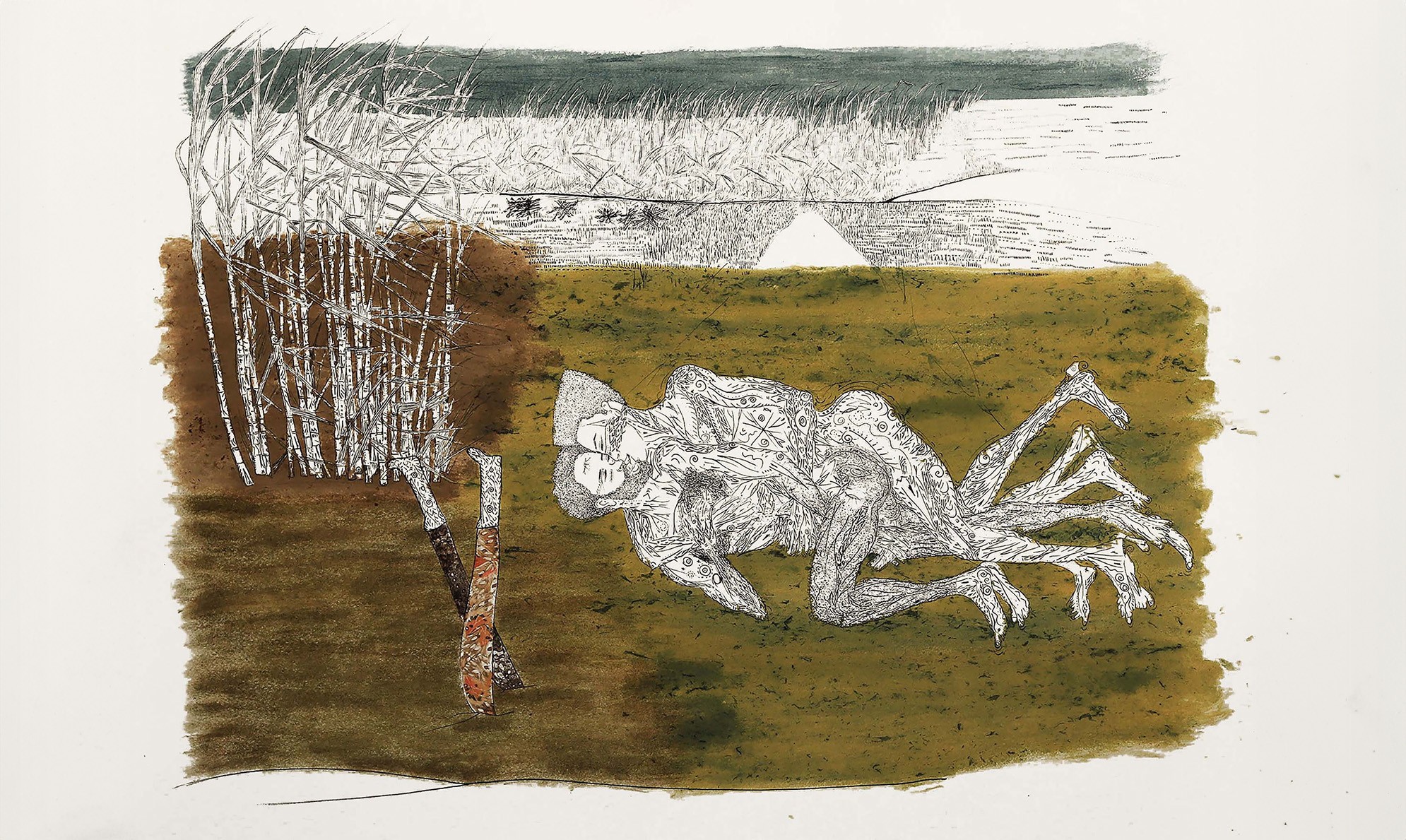 Eliazar Ortiz Roa: Connecting Antillean Society and Botany