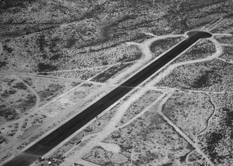 Adam Broomberg and Oliver Chanarin: Dodo