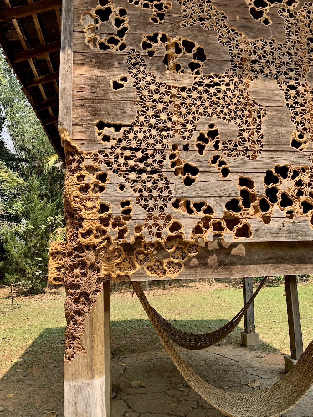 Ryusuke Kido, Inner Light – Chiang Rai Rice Barn, 2023. The sculpture appears as if it were being eroded by a virus or bacteria, creating interior spaces that blur the boundary of form. Photo: C&