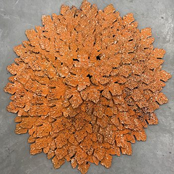 Olu Amoda: Season ii