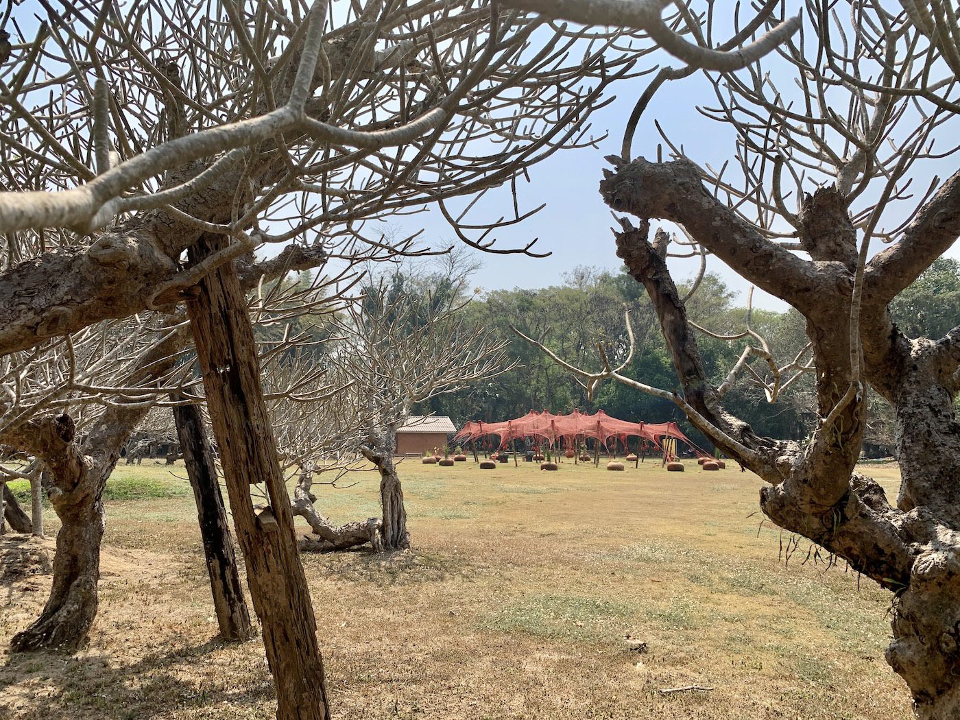 Ernesto Neto, Chantdance, 2023. Neto’s works are deeply influenced by his Brazilian heritage, drawing from indigenous traditions, Brazilian Modernism, and his interest in the relationship between the body and the environment. Photo: C&amp;