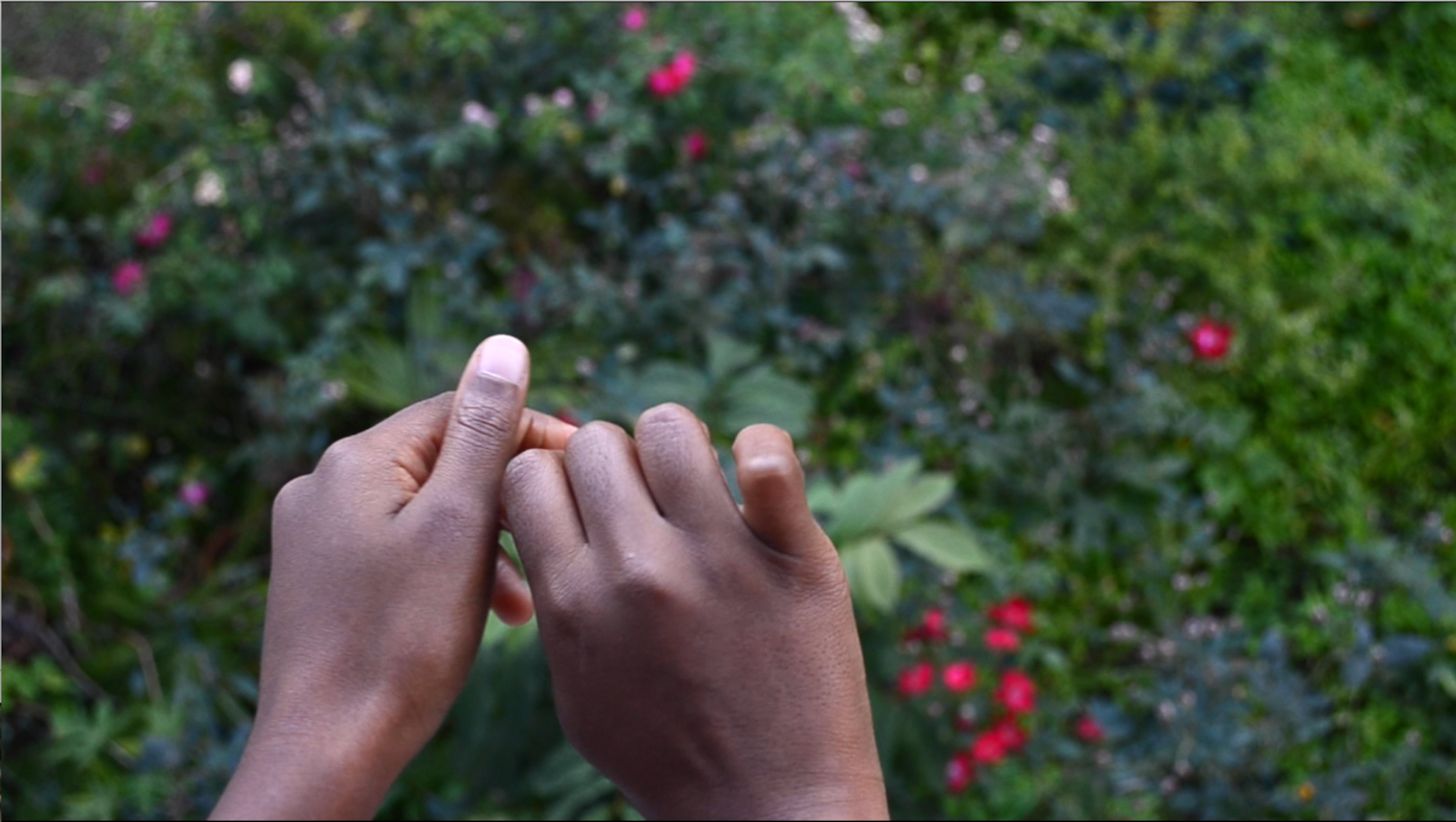 Choreography of the Archipelago