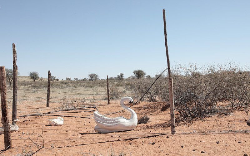 Lien Botha: Yonder
