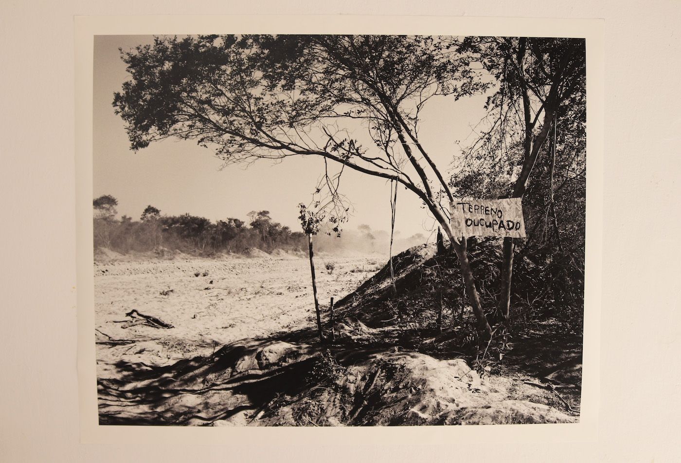 Installation shot of On the road to Cuito Cuanavale III, 2019, Jo Ractliffe. Photo by Annie-Marie Akussah