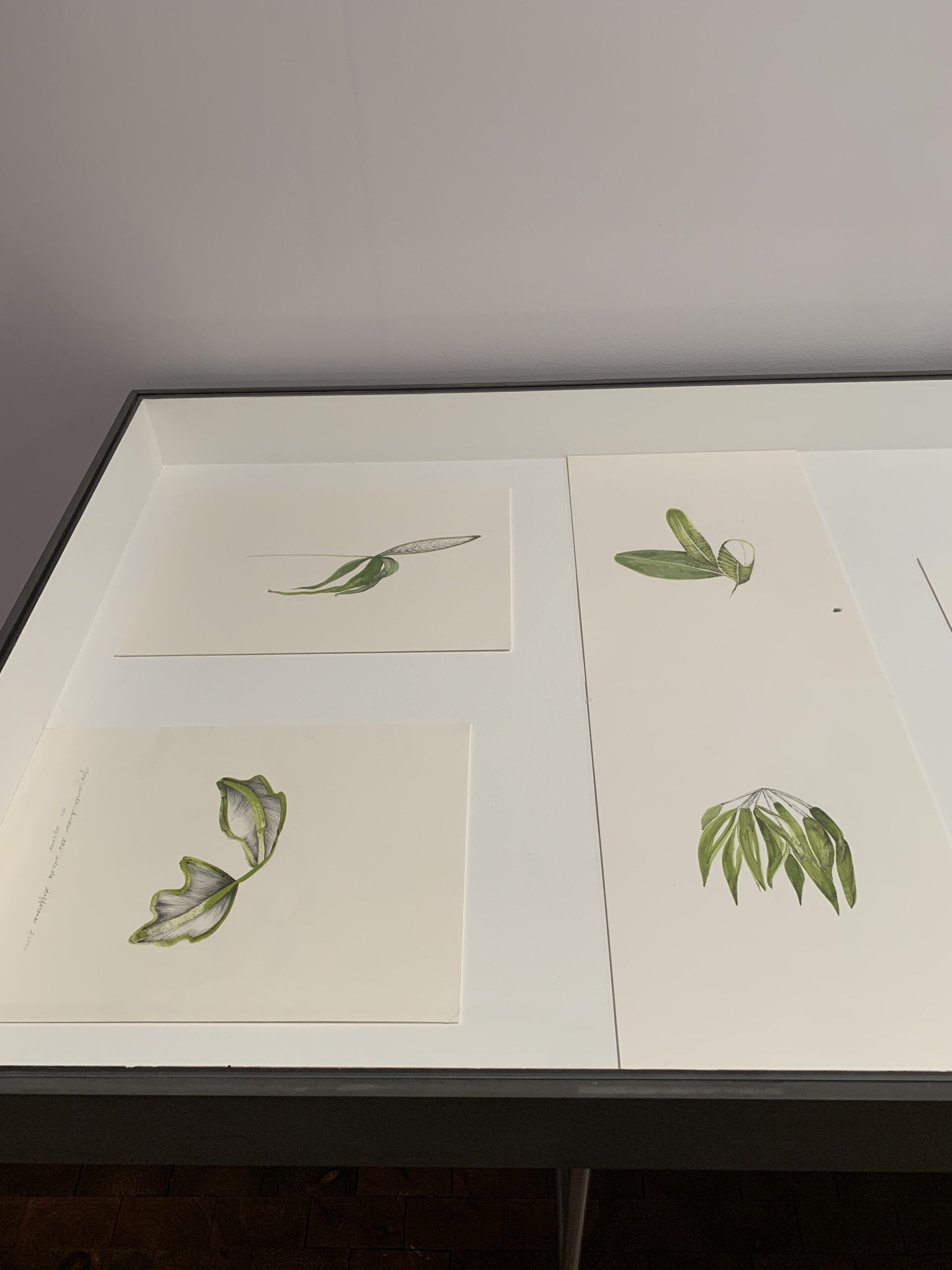 Temitayo Ogunbiyi, You will order taxonomies according to your day, 2021-2022. Installation View at 12th Berlin Biennale, Akademie der Künste, Hanseatenweg. Photo: C&amp;