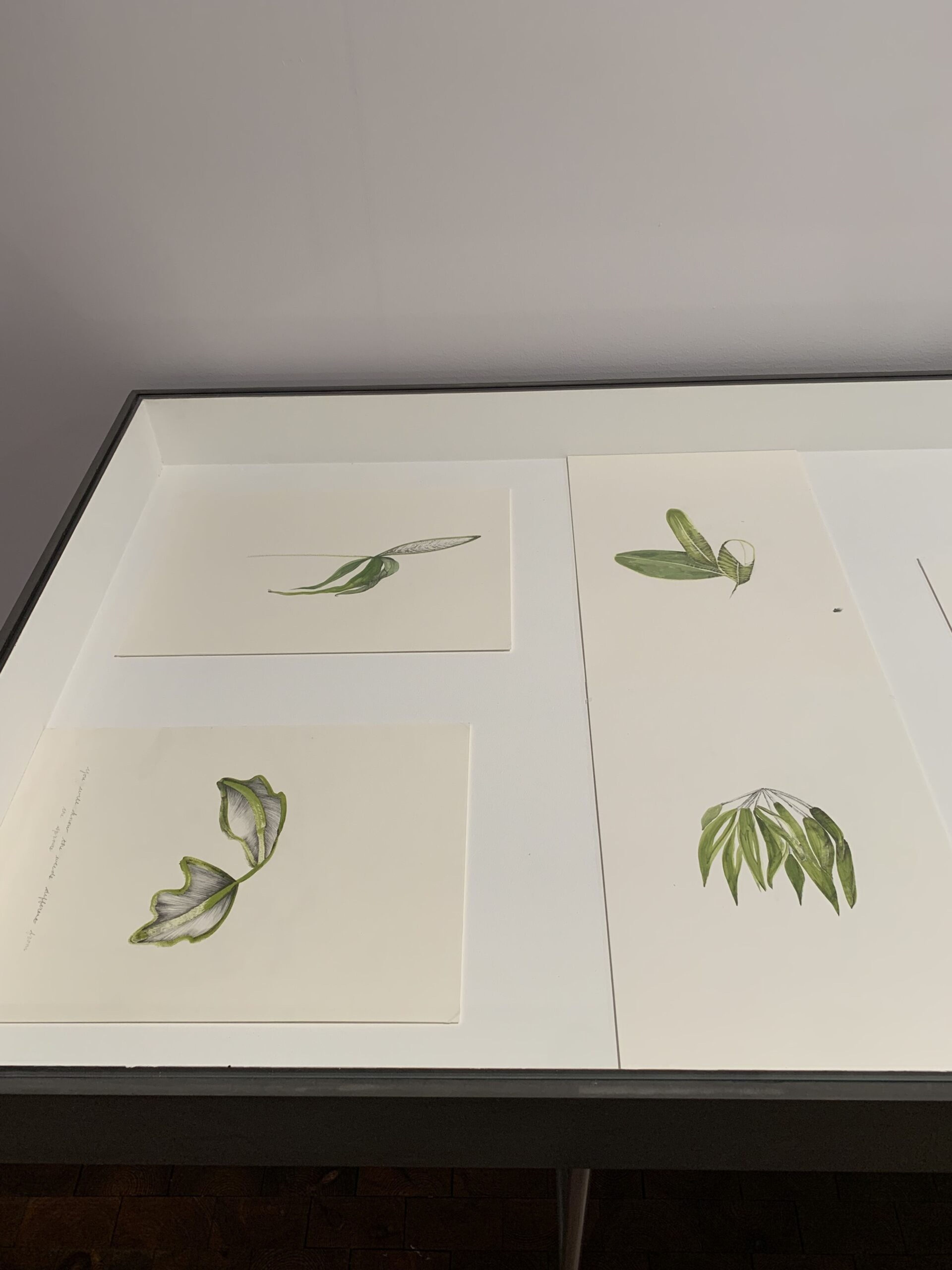 Temitayo Ogunbiyi, You will order taxonomies according to your day, 2021-2022. Installation View at 12th Berlin Biennale, Akademie der Künste, Hanseatenweg. Photo: C&amp;