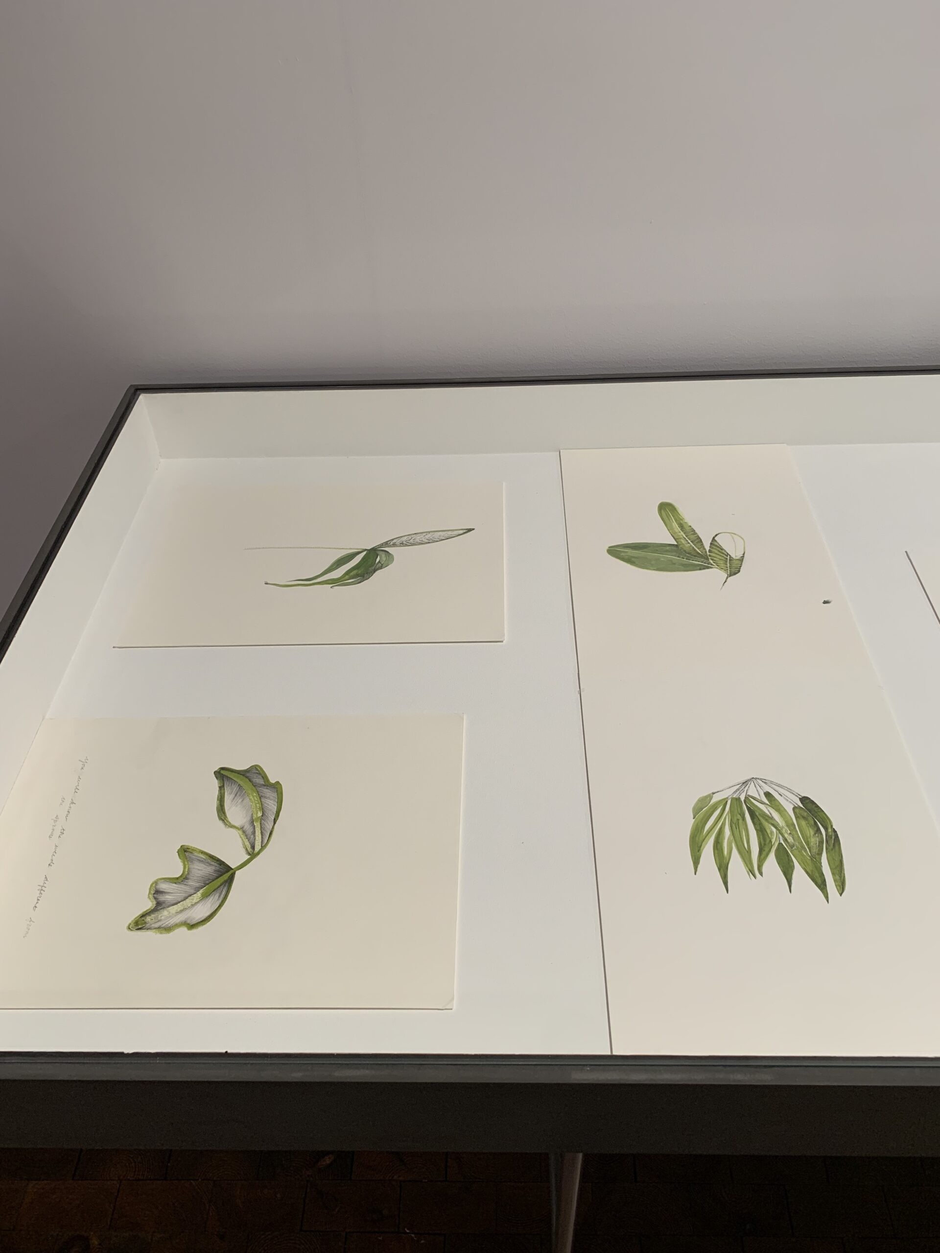 Temitayo Ogunbiyi, You will order taxonomies according to your day, 2021-2022. Installation View at 12th Berlin Biennale, Akademie der Künste, Hanseatenweg. Photo: C&