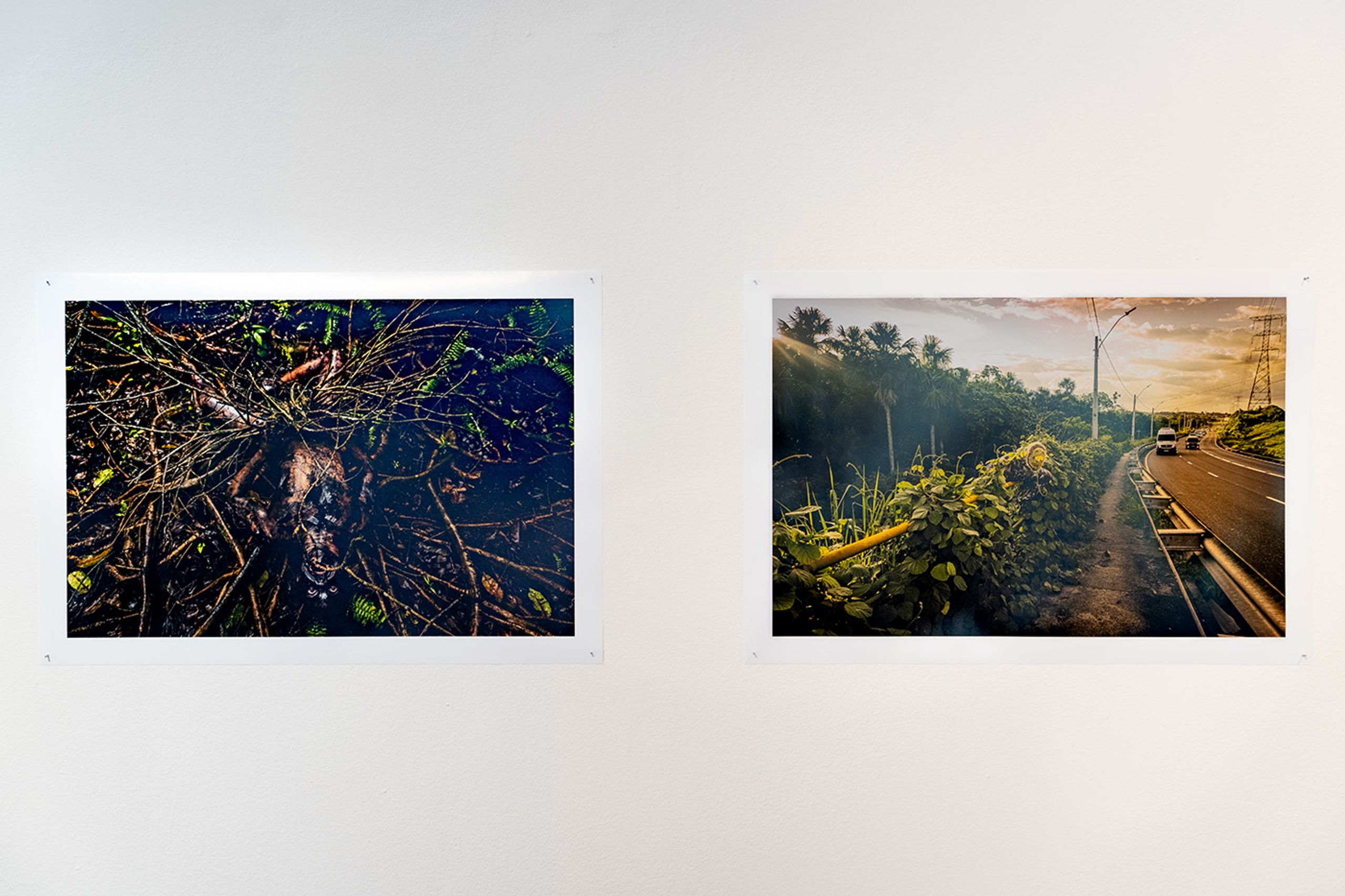 Installation view of Memórias de Alagamento by Uýra, at the Museum of Modern Art in Bogotá. Photo: Juan Yaruro. Courtesy of MAMBO.