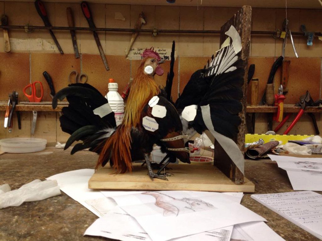 4th EDITION OF “NATIONAL (YAA)” 2015